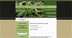 Desktop Screenshot of massageblacksburg.com